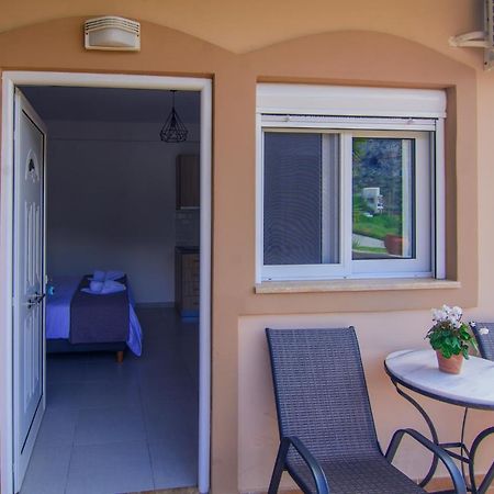 Irene Studio Panorama Apartment Palaiochora Exterior foto
